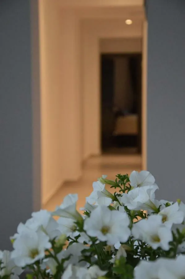 S. Luxury Princess Suite Nea Kallikrateia Апарт-отель
